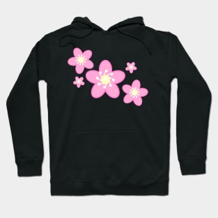 Sakura Cherry Blossom Flowers in Black Background Hoodie